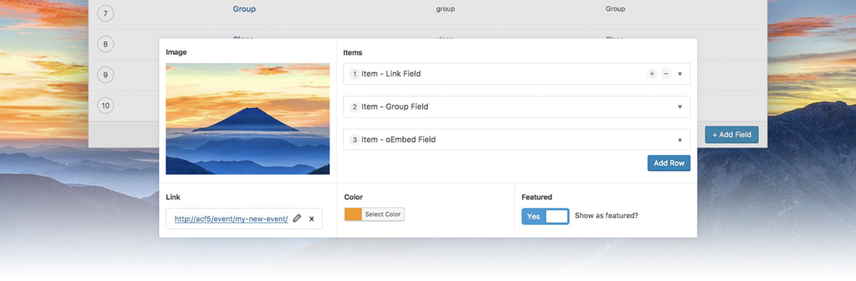 Advanced Custom Fields